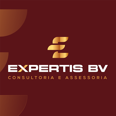 Experts BV Logo